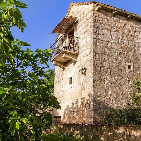 Old Small Stone House Zrnovo Kültér fotó